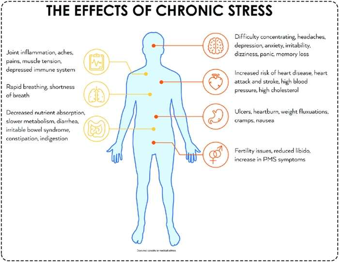 Chronic Stress in Air Traffic Controllers: Causes, Consequences, and Solutions