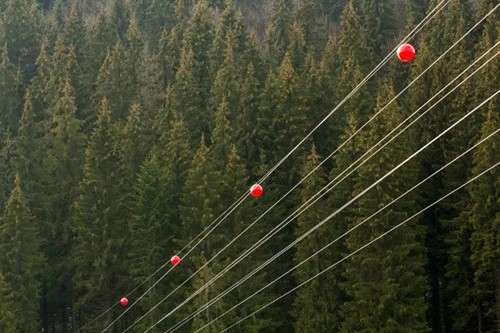 Visual Markers on Power Lines