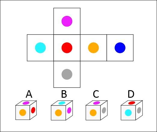 Cube Folding T1-Q9